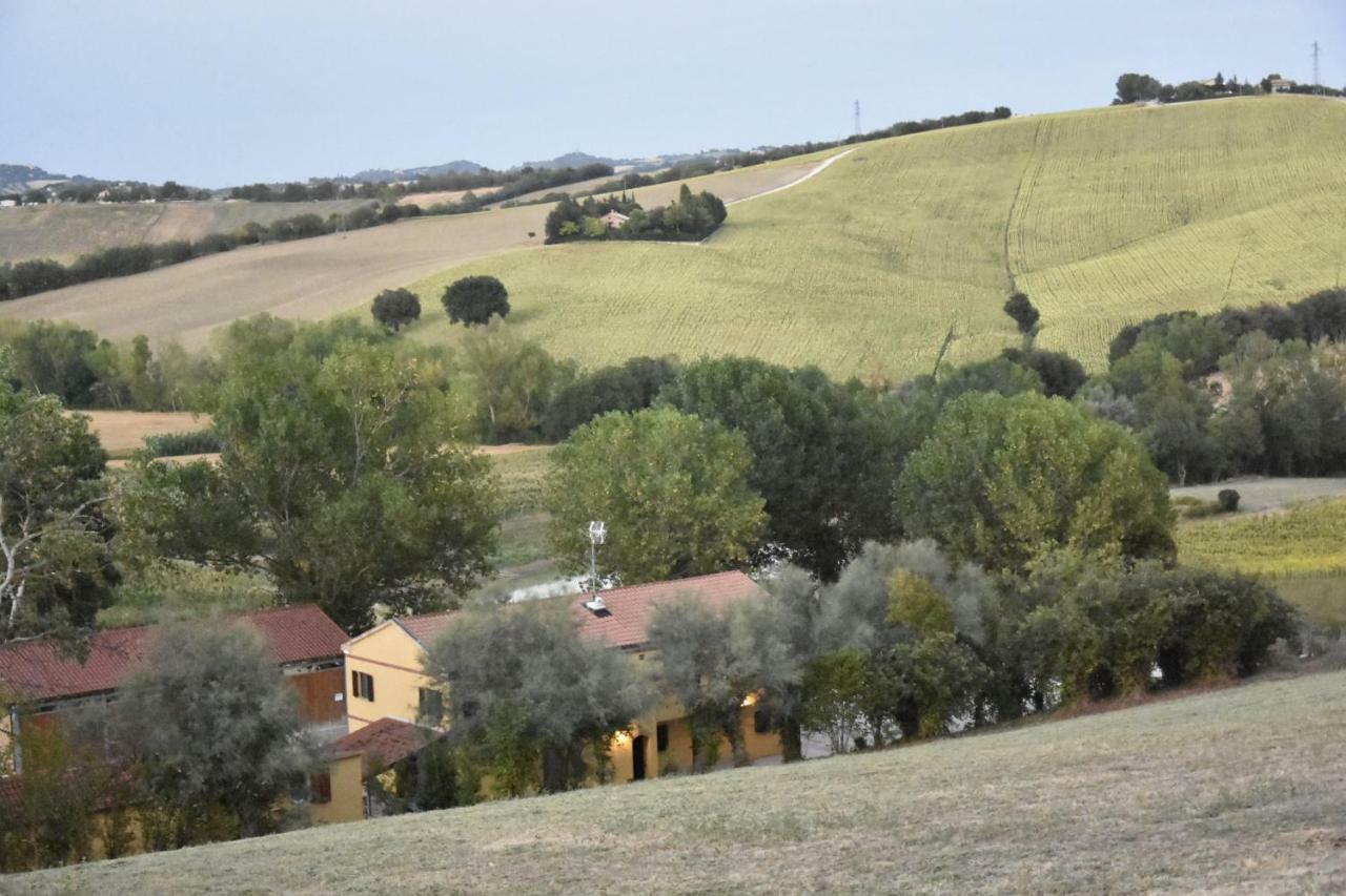 Agriturismo Fattoria Del Colle Villa Iesi Exterior photo