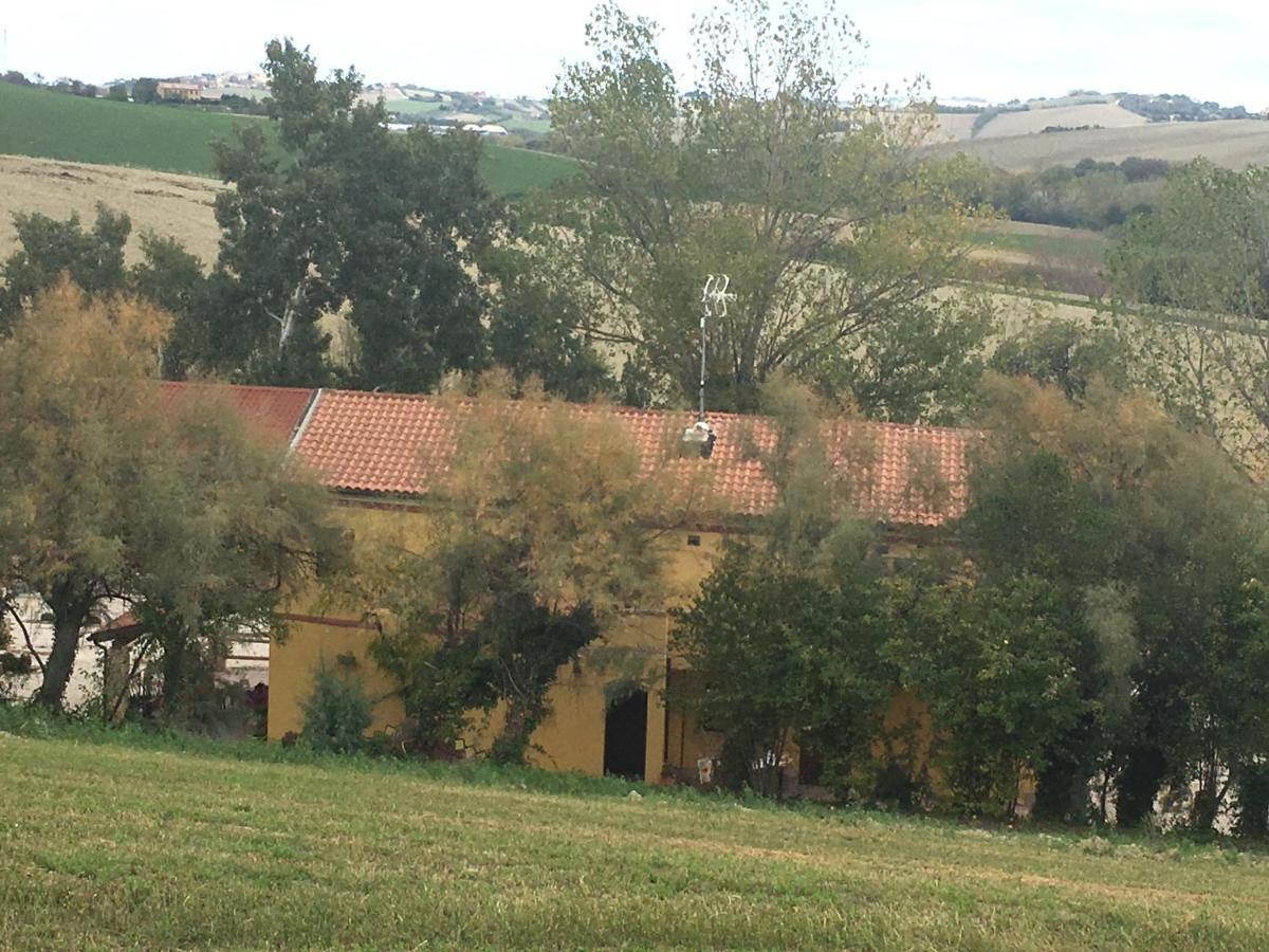 Agriturismo Fattoria Del Colle Villa Iesi Exterior photo