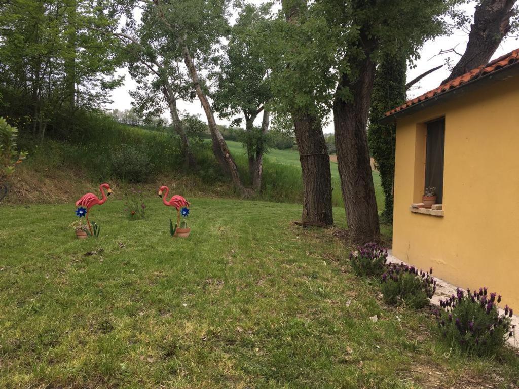 Agriturismo Fattoria Del Colle Villa Iesi Exterior photo